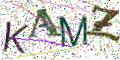 图形验证