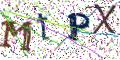 图形验证