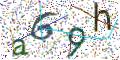 图形验证