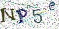 图形验证