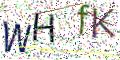 图形验证