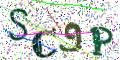 图形验证