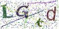 图形验证