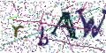 图形验证