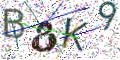 图形验证