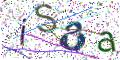 图形验证