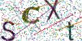 图形验证