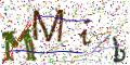 图形验证
