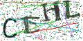 图形验证