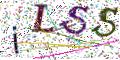 图形验证