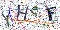 图形验证