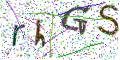图形验证