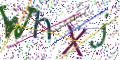 图形验证