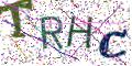 图形验证