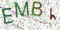 图形验证