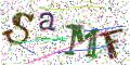 图形验证