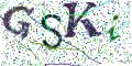 图形验证