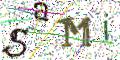 图形验证