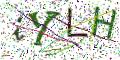 图形验证