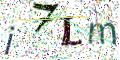 图形验证