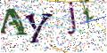 图形验证