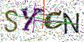 图形验证