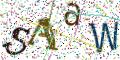 图形验证