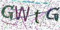 图形验证