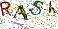 图形验证