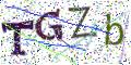 图形验证