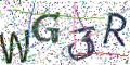 图形验证