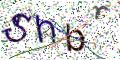 图形验证