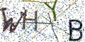 图形验证