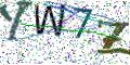 图形验证