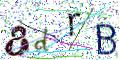 图形验证