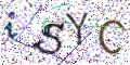图形验证