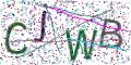 图形验证