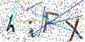 图形验证