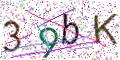 图形验证