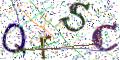 图形验证