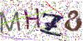 图形验证