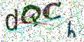 图形验证