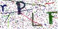 图形验证