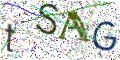 图形验证
