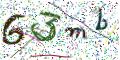 图形验证