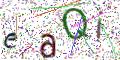 图形验证