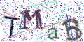 图形验证