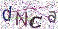 图形验证