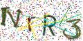 图形验证