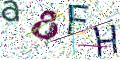 图形验证
